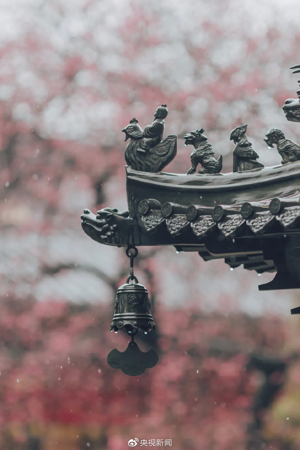 这个立春,巧了!休闲区蓝鸢梦想 - Www.slyday.coM 这个立春,巧了!休闲区蓝鸢梦想 - Www.slyday.coM