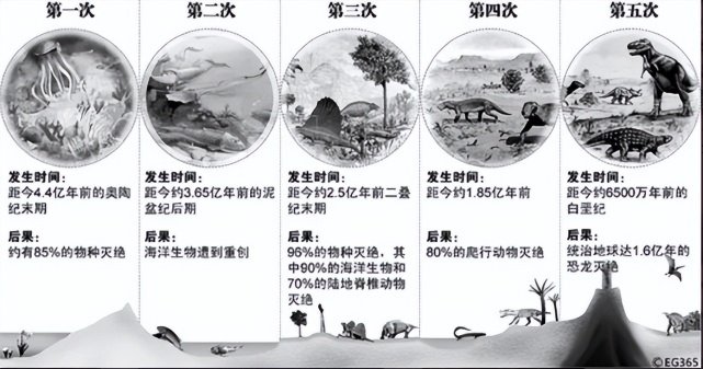 最让人绝望的解释:史上最严重的物种大灭绝只是因为一次基因转移