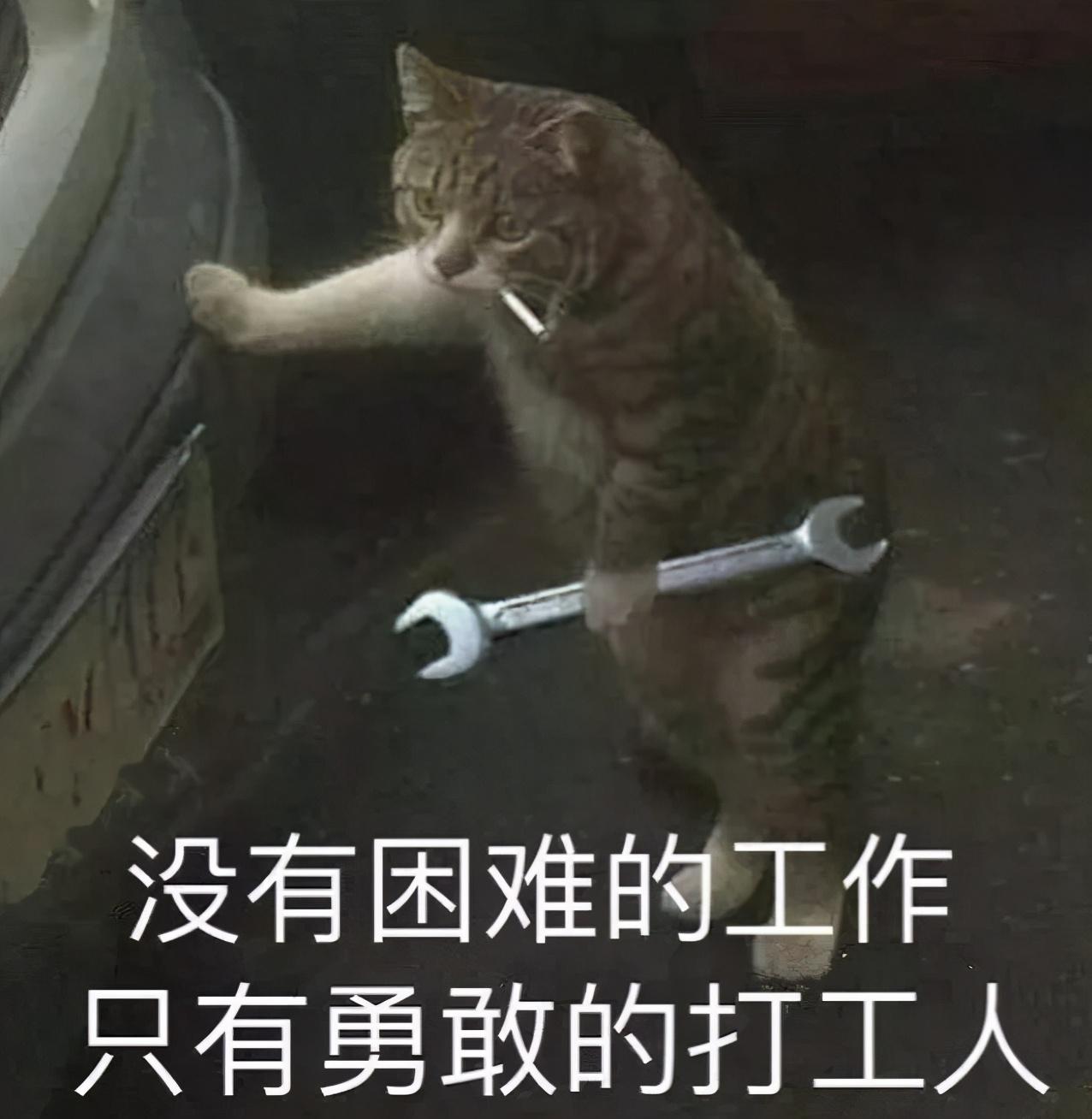 打工人真正的快乐风光500会告诉你
