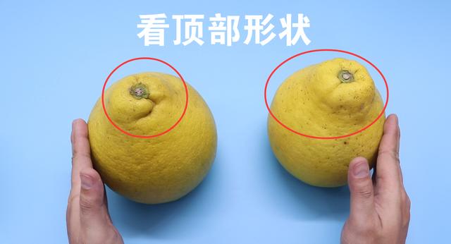 第4个步骤:看整体的形状.要挑选上尖下宽底部扁圆的柚子才是最好的.