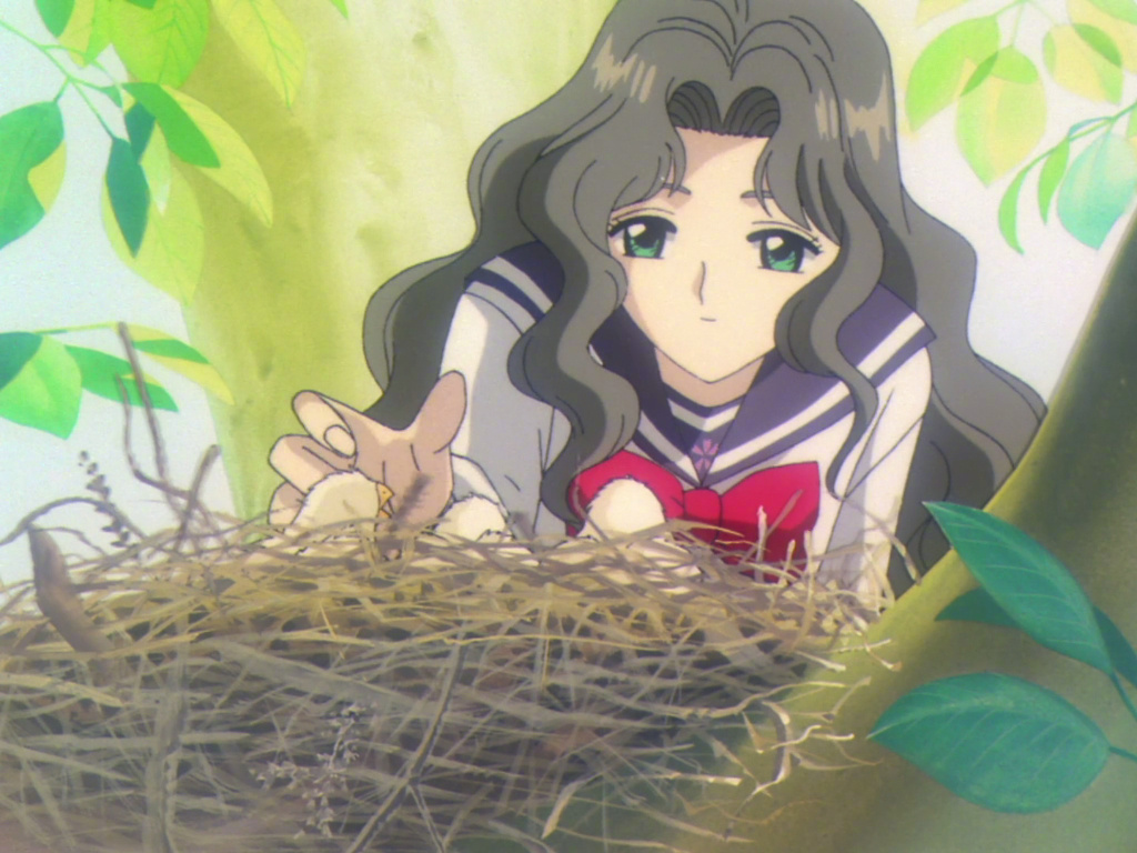 5月20日是魔卡少女樱木之本抚子的生日