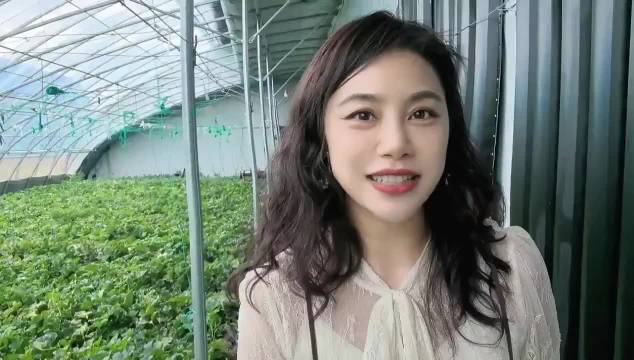 经济视点｜兰岗香瓜“触网出圈”：小香瓜如何卖向全国大市场？|兰岗镇|刘爽|宁安市|牡丹江市|黑龙江省|香瓜|瓜农|棚室|经济|镇政府|直播间 ...