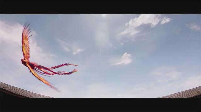 还有电影里花木兰是有神物助力,那就是凤凰.