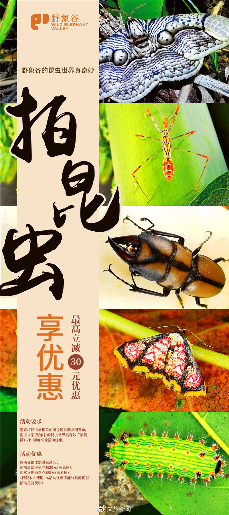 喜迎COP15休闲区蓝鸢梦想 - Www.slyday.coM 喜迎COP15休闲区蓝鸢梦想 - Www.slyday.coM