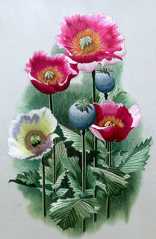 植物刺绣,图三太生动了