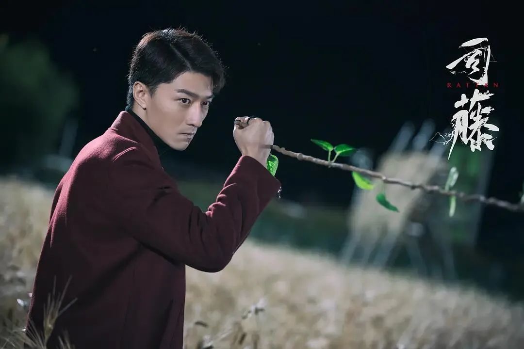 司藤秦放并不是白英后代前世和司藤却有着剪不断的关系