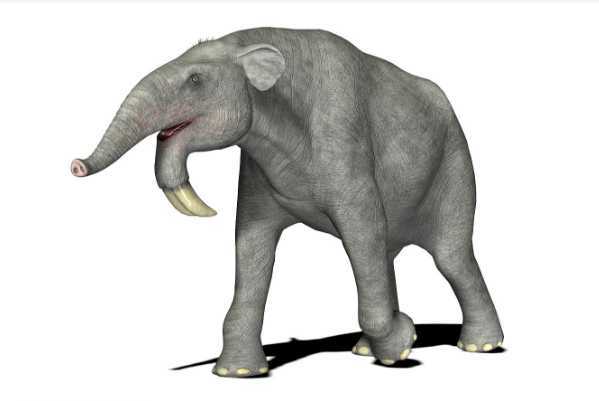大象始祖像兔子一样大,还进化出了蹄兔和海牛,这都是怎么进化的
