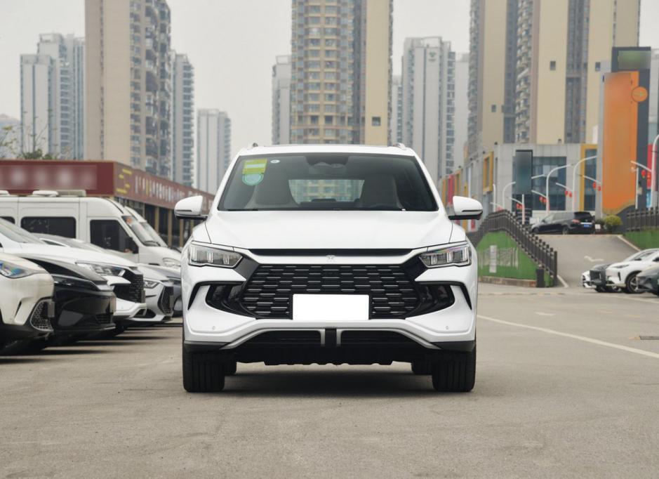 宋pro dm-i荣耀版一公布,订单量和访客量大增,成效显著