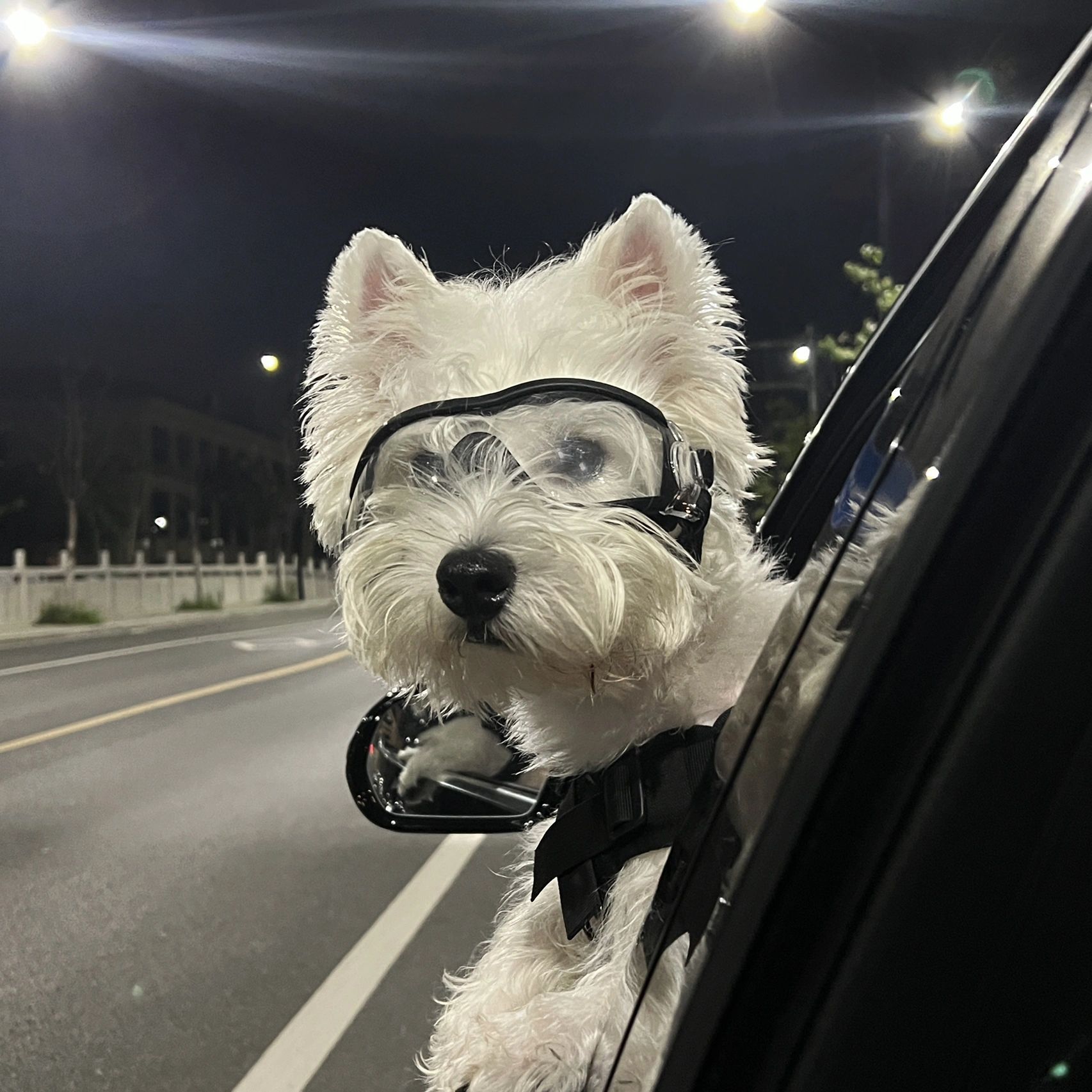 酷玩直播开启全新娱乐时代实时互动畅享极致视听盛宴