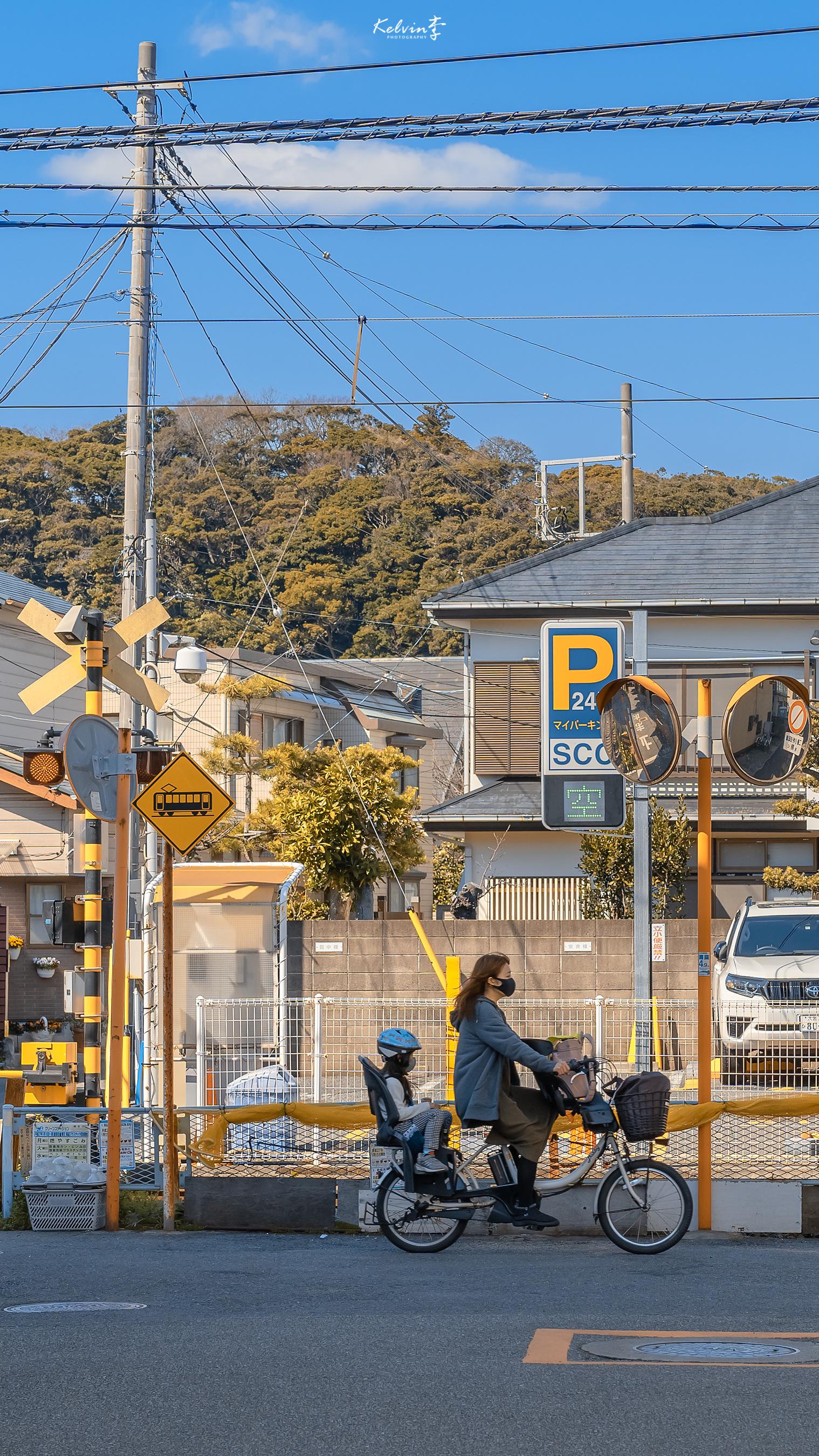 镰仓太美了__财经头条