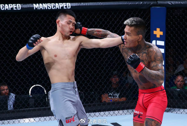 UFC精英之路第2季半决赛结束，五位中国选手晋级总决赛|日本选手|锦标赛|蝇量级|日本|韩国选手_新浪体育_新浪新闻