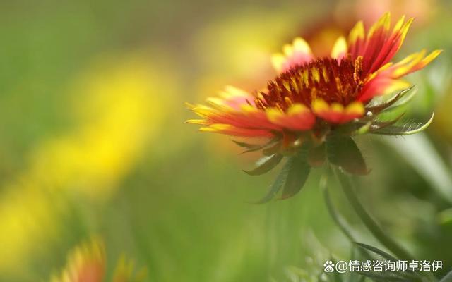 婚姻让你感到孤独，是因为你的婚姻，缺少了这4样东西休闲区蓝鸢梦想 - Www.slyday.coM