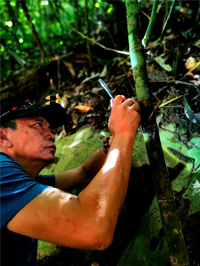 喜迎COP15休闲区蓝鸢梦想 - Www.slyday.coM 喜迎COP15休闲区蓝鸢梦想 - Www.slyday.coM