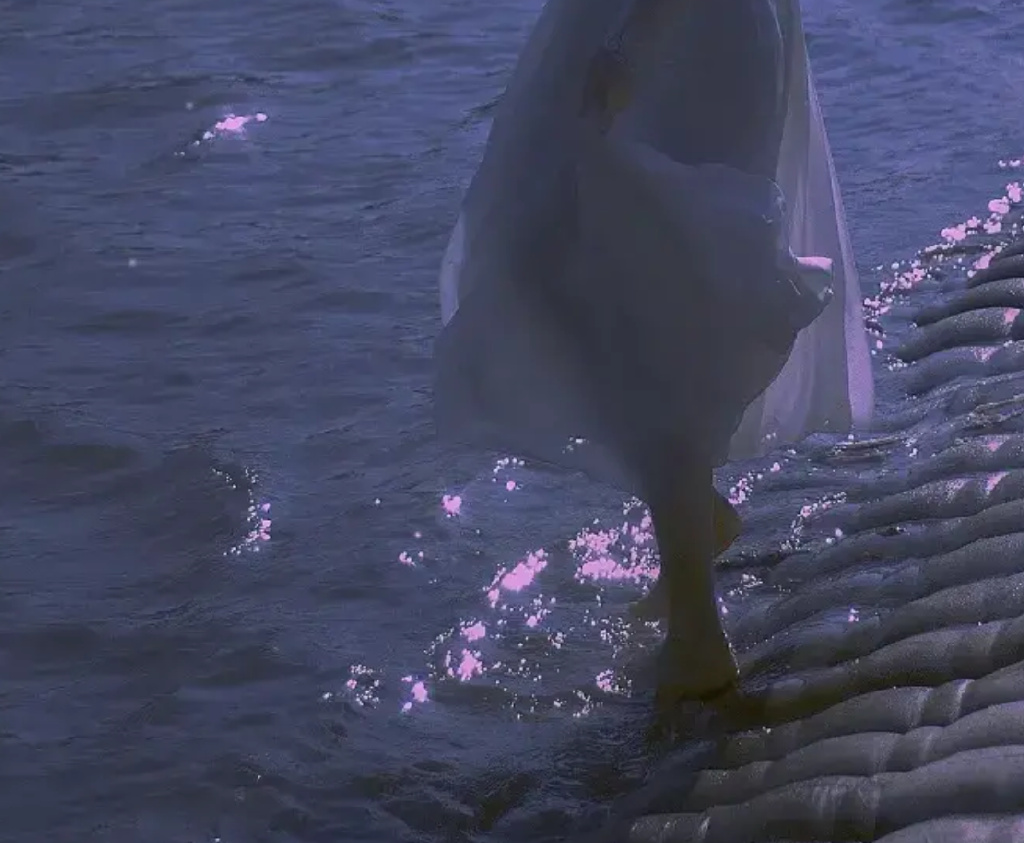 好记性，是一种有意义的天赋休闲区蓝鸢梦想 - Www.slyday.coM