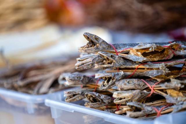 泰国返乡求职四处碰壁因缘际会之下靠壁虎一夕致富