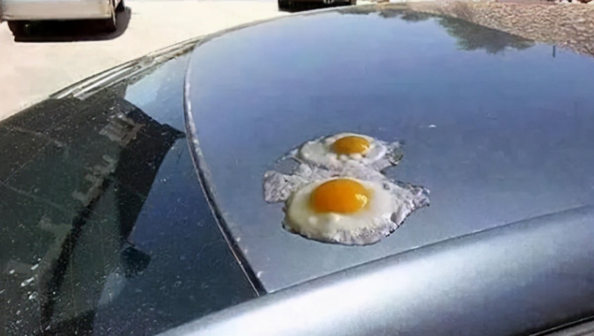 暴晒后最怕什么?-新浪汽车