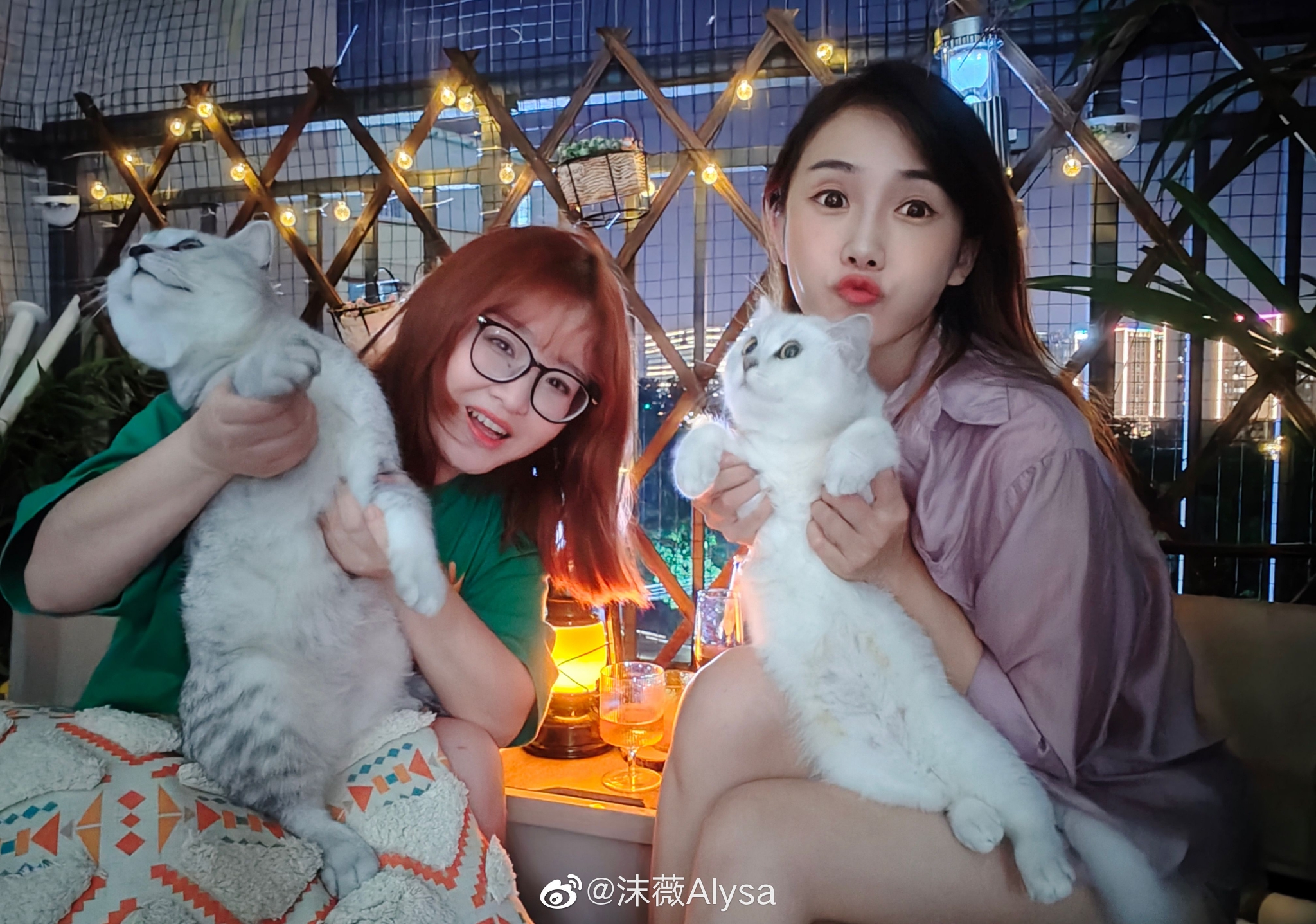在朋友家实现啦撸猫自由……|朋友家|阳台|可爱_新浪新闻