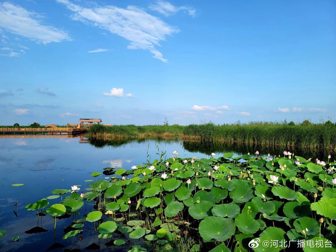 奋进2022休闲区蓝鸢梦想 - Www.slyday.coM