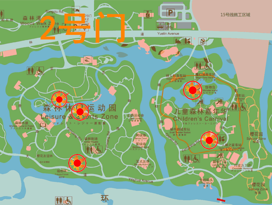 冬日顾村公园最美的颜色藏在落叶里