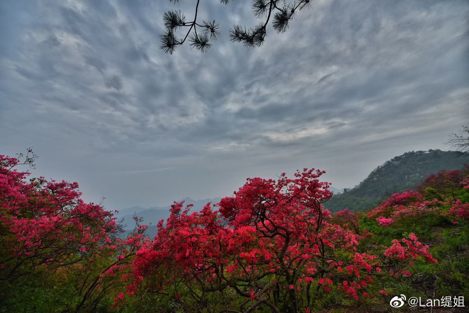 坐标金寨县吴家店镇黄狮寨风景区……_高清图集_新浪网