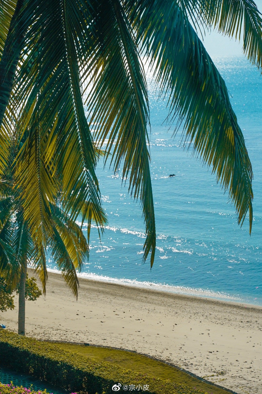 泳池,大海,椰林,桨影,还有夕阳下海边的秋千……__财经头条