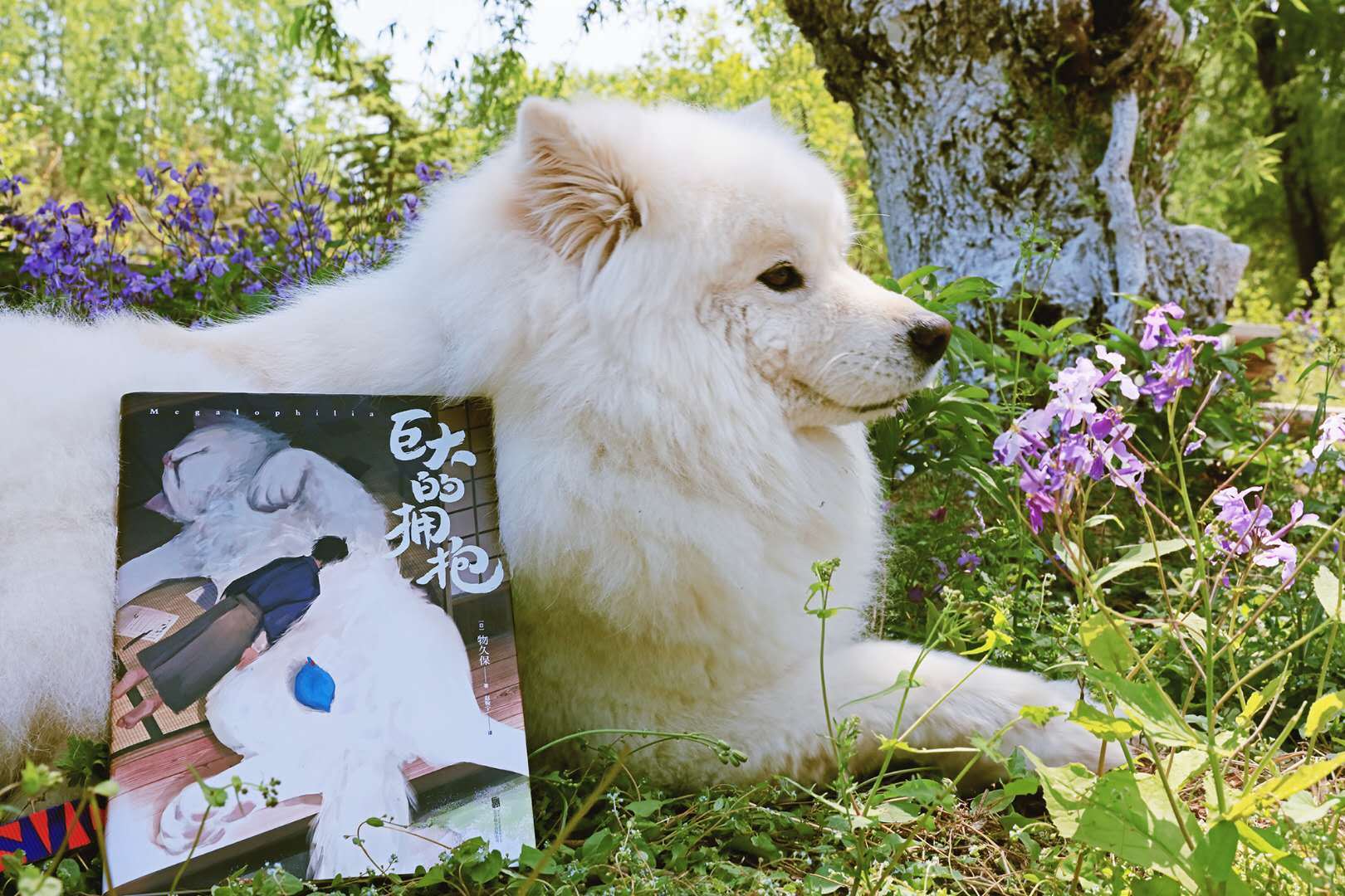 日本人气插画师物久保作品《巨大的拥抱》__财经头条