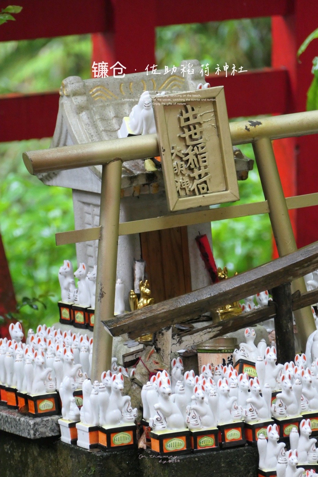 佐助稻荷神社_高清图集_新浪网