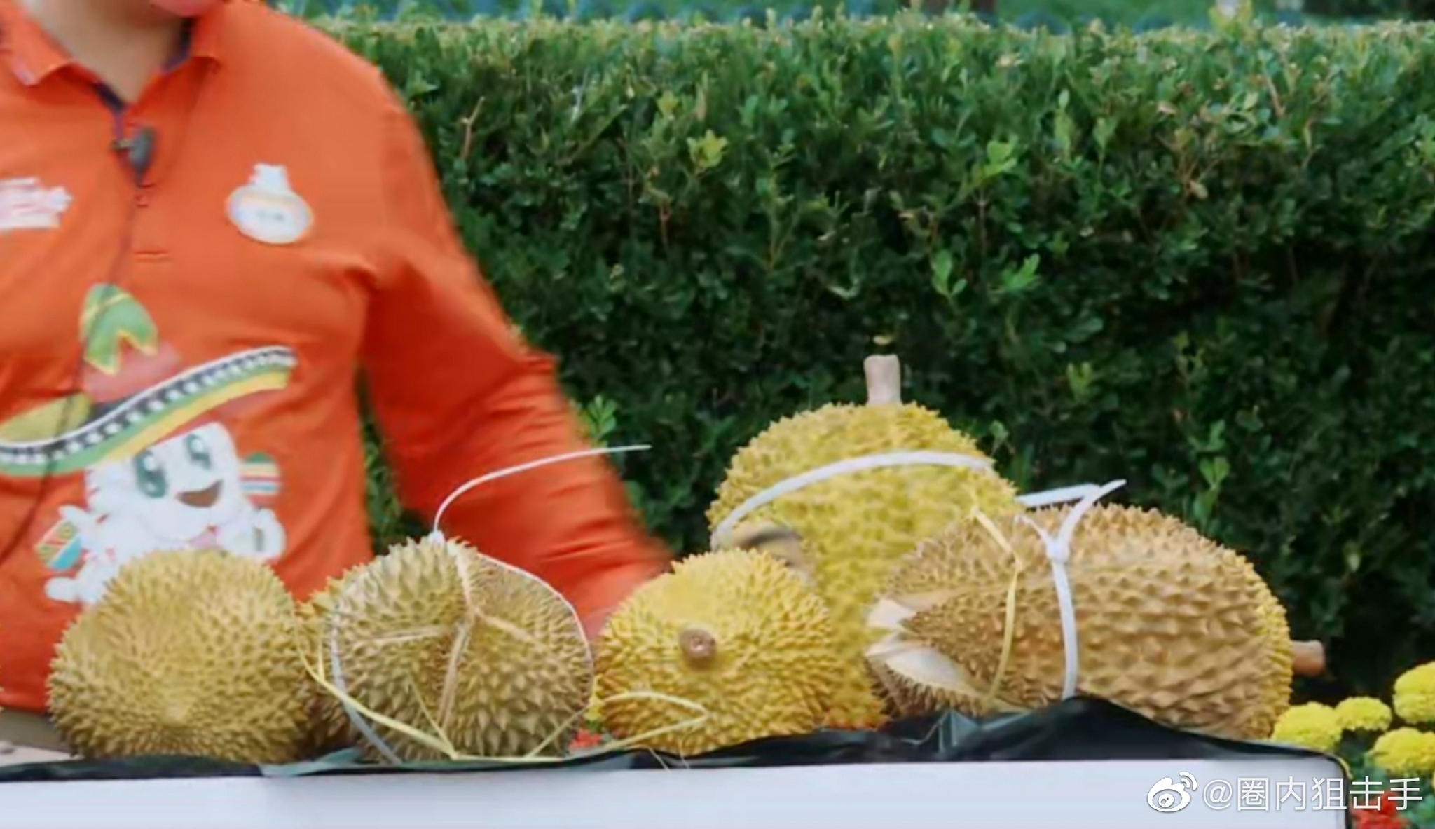 不得不说宋威龙这个榴莲头混进去还真看不出来