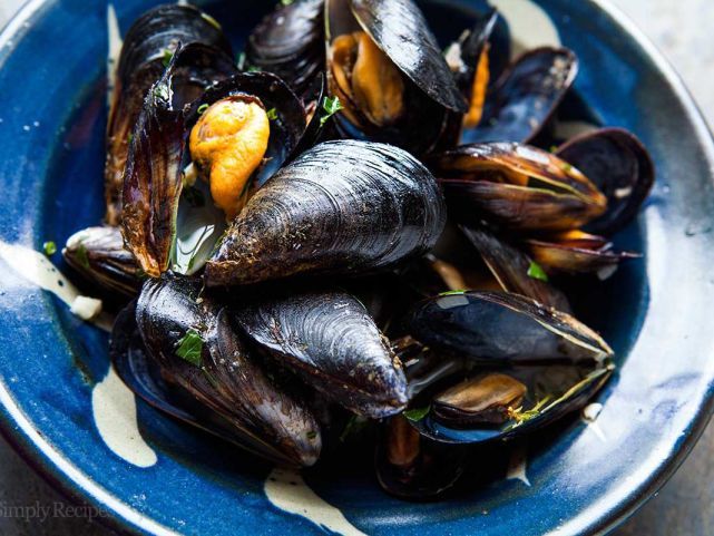 逆天贻贝攻陷北美曾7次逼停核电站累计造成超50亿美元损失