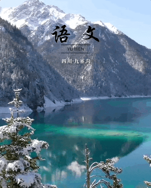 带着31张"语文课本封面"和春天来一场约会吧~|苏州