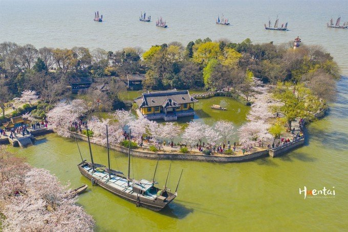 2021年无锡滨湖赏花攻略丨逛热门鼋头渚，探秘小众红沙湾