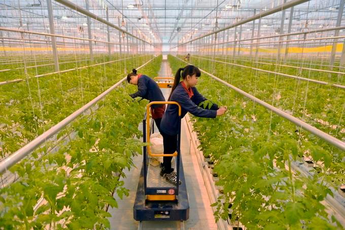 未来农民的发展在"这里"!__财经头条