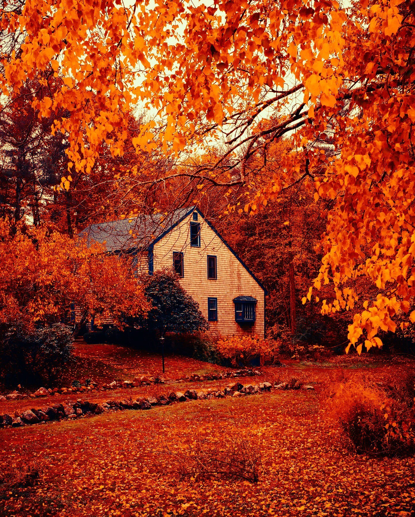 摄影师gregoryroache丨boston镜头下的美丽秋景