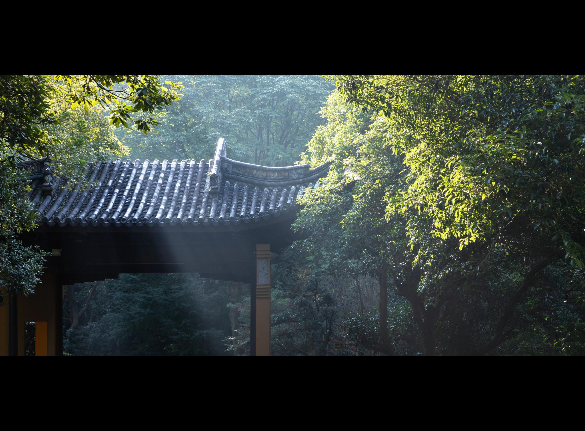 山风拂古寺,岚光入林阁. 摄影_高清图集_新浪网
