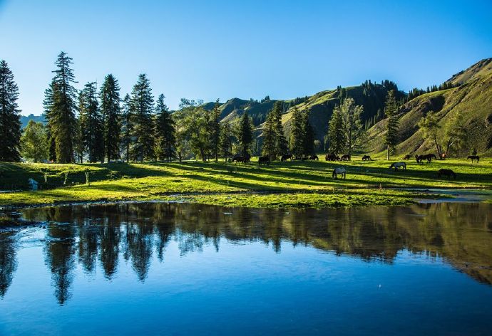 唐布拉风景区位于尼勒克县东部