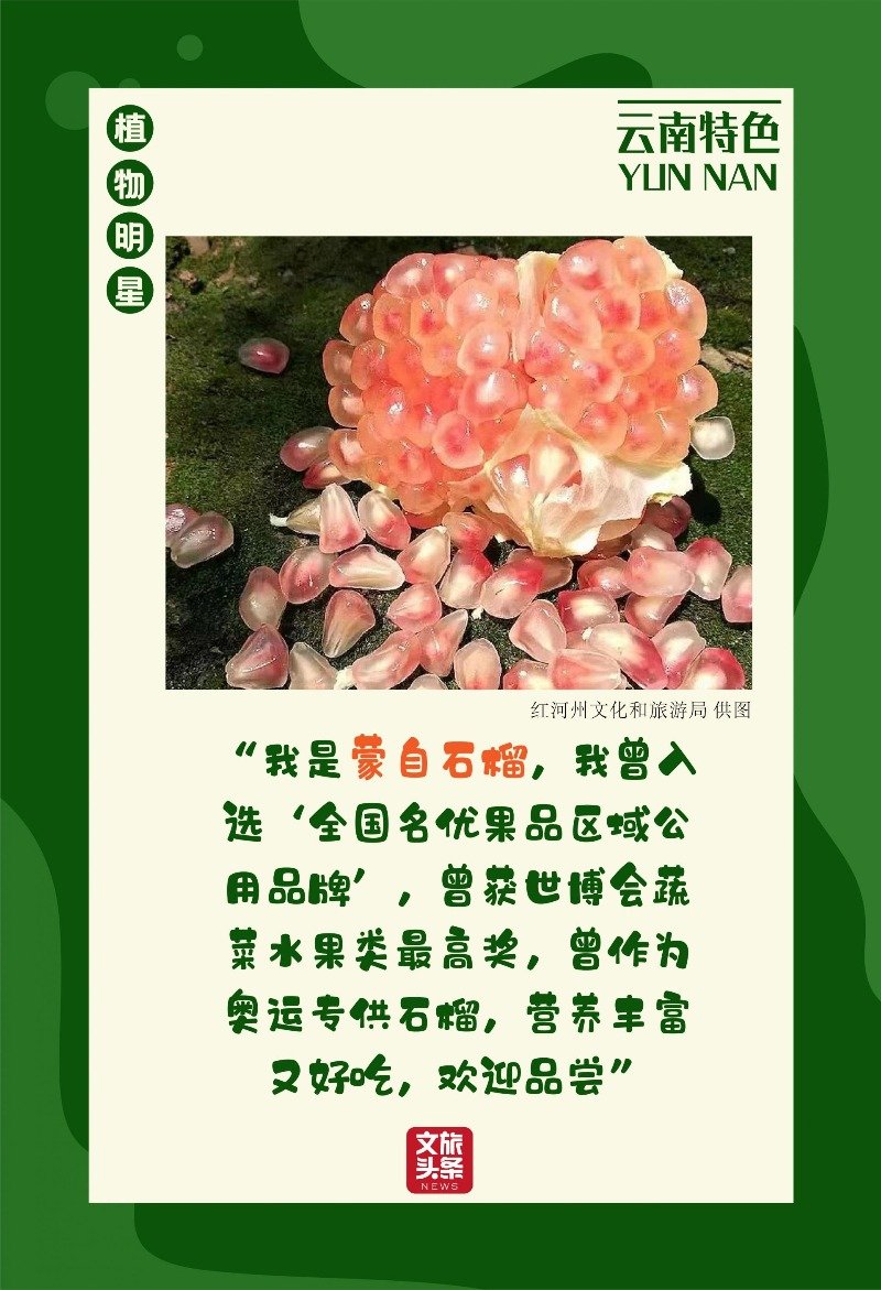 喜迎COP15大会！景区里的动植物明星海报等您欣赏休闲区蓝鸢梦想 - Www.slyday.coM