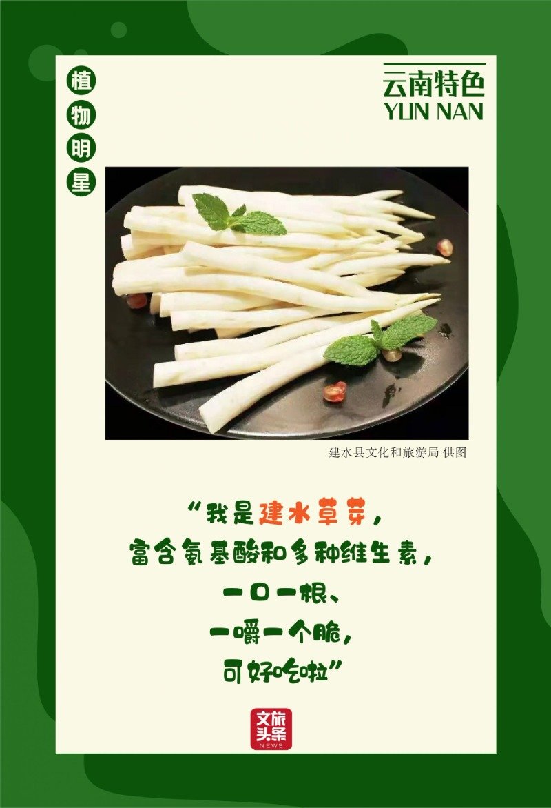 喜迎COP15大会！景区里的动植物明星海报等您欣赏休闲区蓝鸢梦想 - Www.slyday.coM