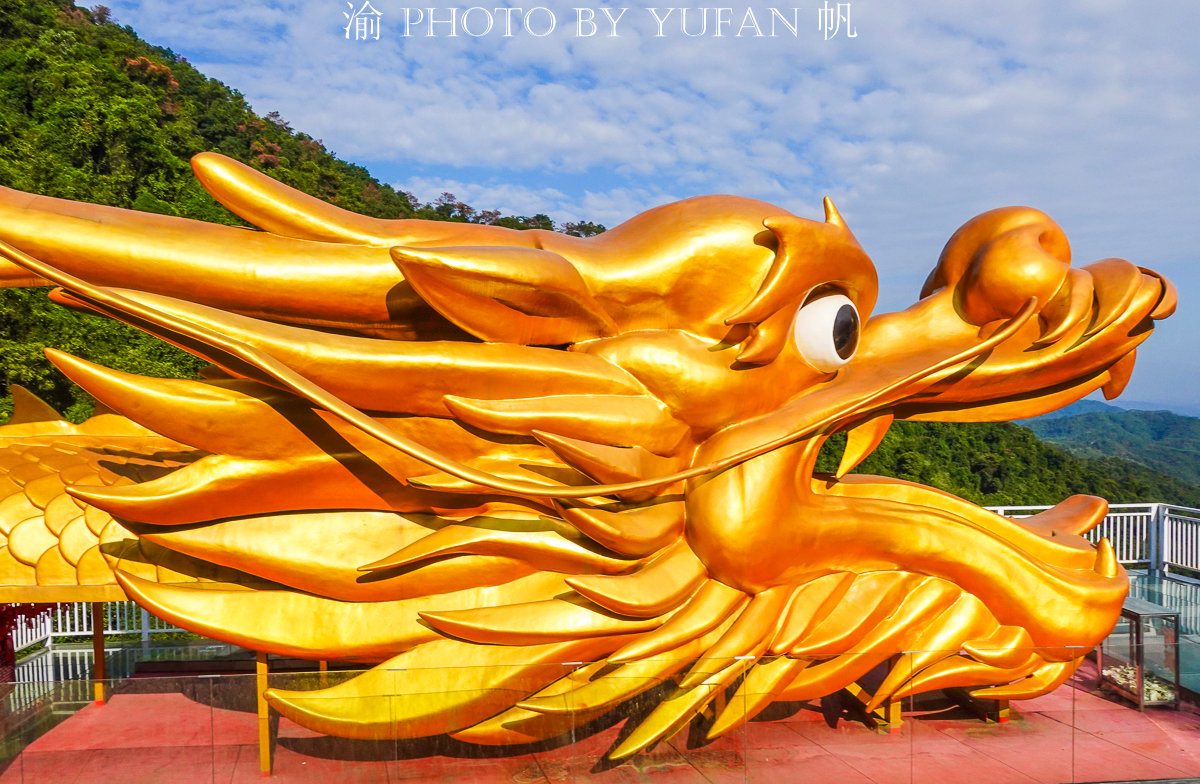 清远大山中发现世界最长黄金巨龙名为添子龙年轻夫妇特别喜欢