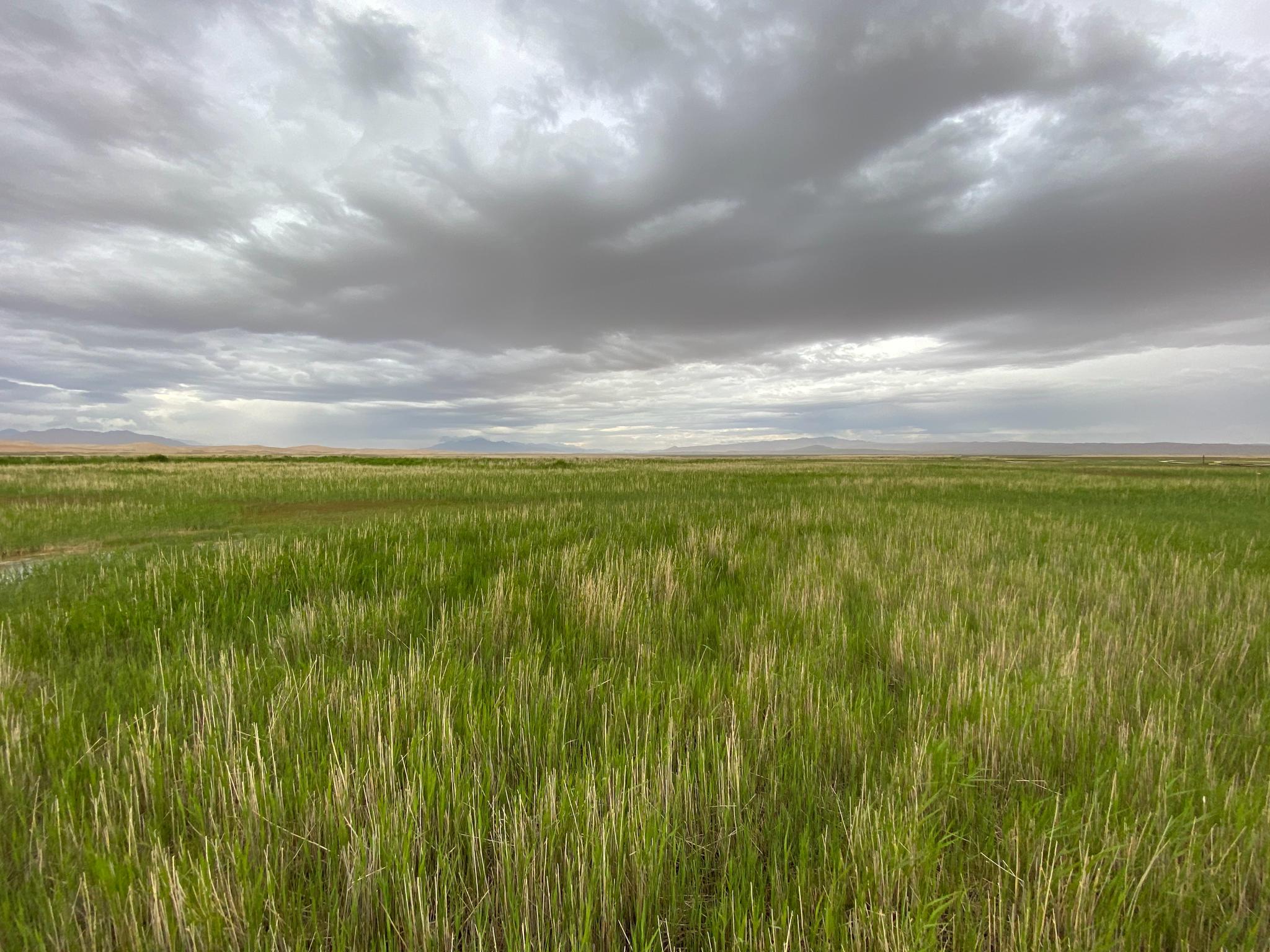 暴雨来临前的草原