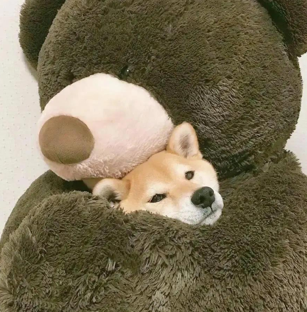 被需要,这个点真的很重要,土象星座的不解之情休闲区蓝鸢梦想 - Www.slyday.coM 被需要,这个点真的很重要,土象星座的不解之情休闲区蓝鸢梦想 - Www.slyday.coM