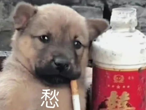 表情包又更新了 愁 啥玩意 我是学生,给我 不好意思……|表情包|玩意|学生_新浪新闻