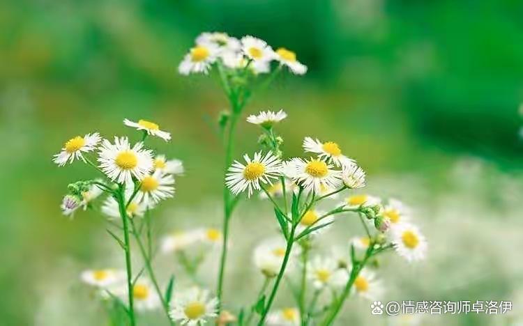 二婚女人的底气从哪里来?做到这3点,你也可以得到美满的婚姻休闲区蓝鸢梦想 - Www.slyday.coM 二婚女人的底气从哪里来?做到这3点,你也可以得到美满的婚姻休闲区蓝鸢梦想 - Www.slyday.coM