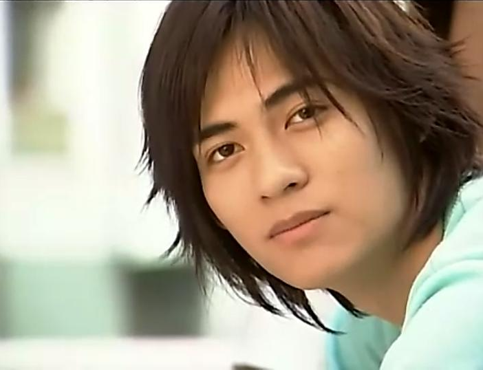 从《流星花园》迷倒万千少女的忧郁王子,到《痞子英雄》里玩世不羁的