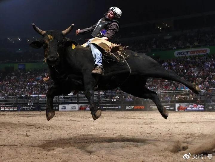 一头牛800kg,一座桥承重700kg,牛怎么过桥?已有正确答案-新浪汽车