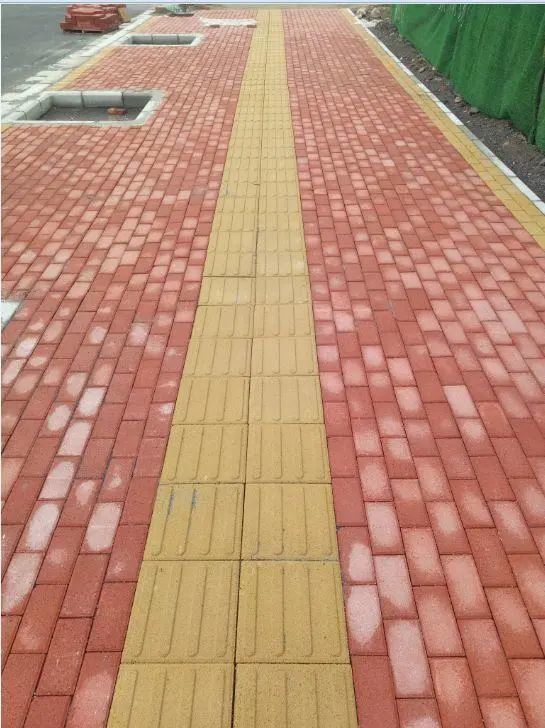 【浙样红互动话题】规定任何设施不得占用盲道,你怎么看?|礼品|浙江省