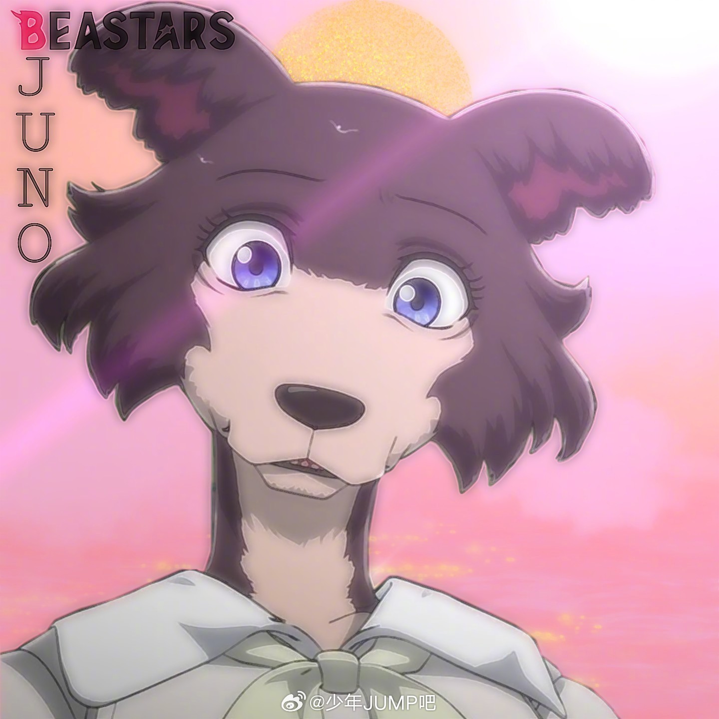 2月12日是「beastars」朱诺的生日