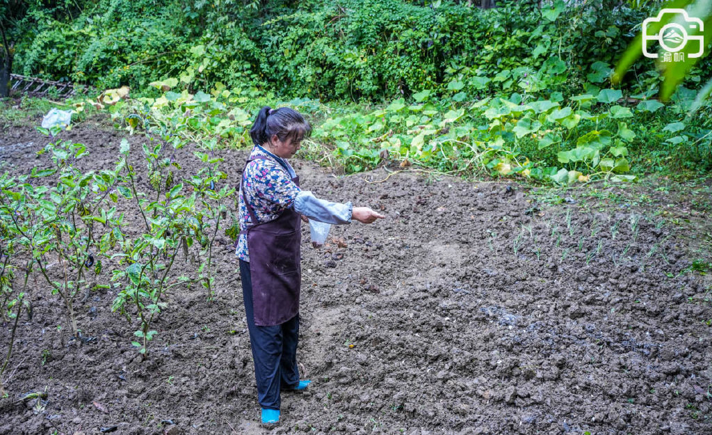 酉阳桃花源,陶渊明笔下的人间乐土,是不是你向往的诗与远方?休闲区蓝鸢梦想 - Www.slyday.coM 酉阳桃花源,陶渊明笔下的人间乐土,是不是你向往的诗与远方?休闲区蓝鸢梦想 - Www.slyday.coM