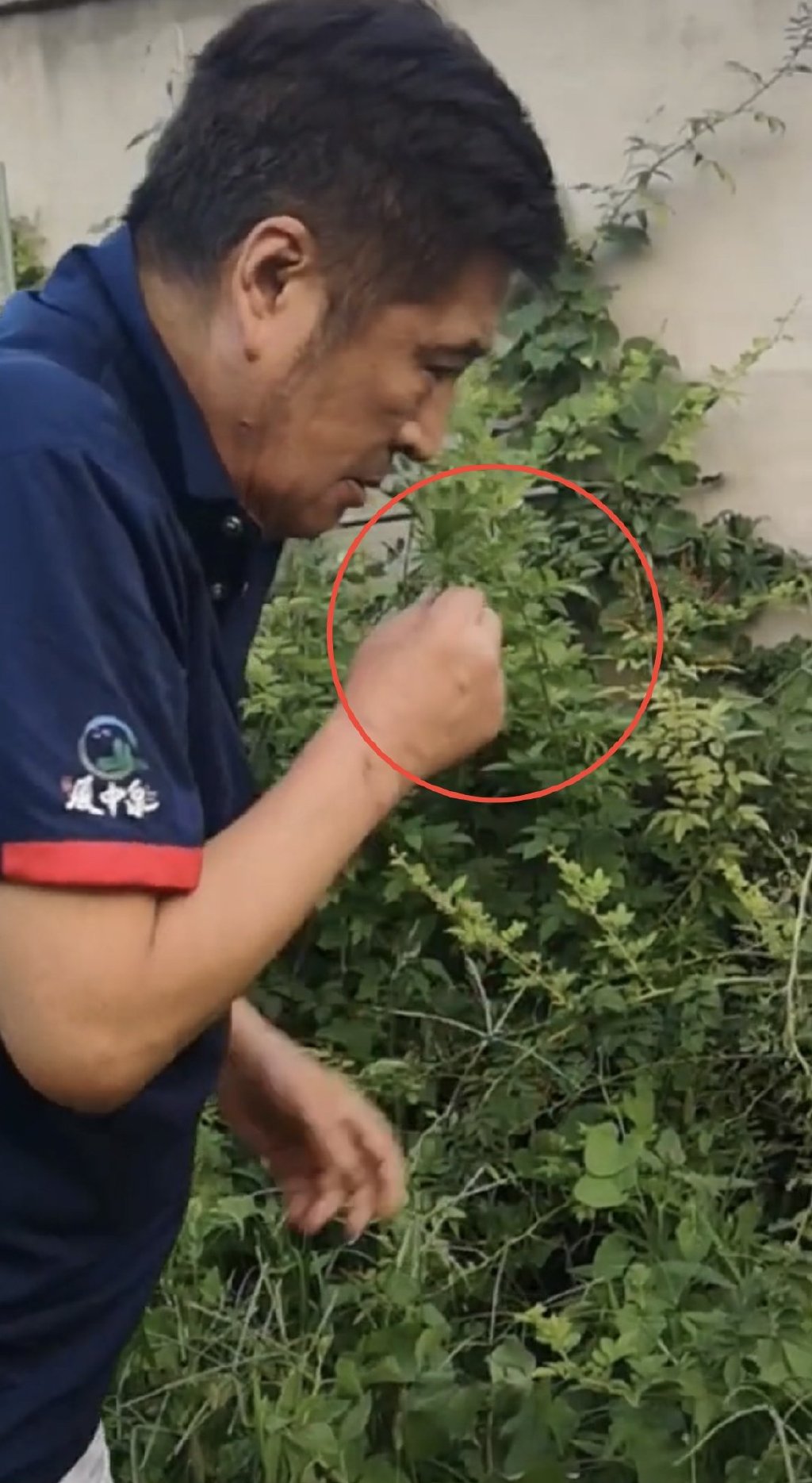 67岁知名港星定居河北小县城!住大别墅院子种菜,一人独居显寂寞休闲区蓝鸢梦想 - Www.slyday.coM 67岁知名港星定居河北小县城!住大别墅院子种菜,一人独居显寂寞休闲区蓝鸢梦想 - Www.slyday.coM