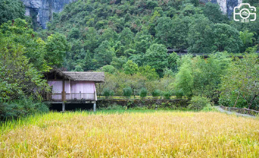 酉阳桃花源,陶渊明笔下的人间乐土,是不是你向往的诗与远方?休闲区蓝鸢梦想 - Www.slyday.coM 酉阳桃花源,陶渊明笔下的人间乐土,是不是你向往的诗与远方?休闲区蓝鸢梦想 - Www.slyday.coM