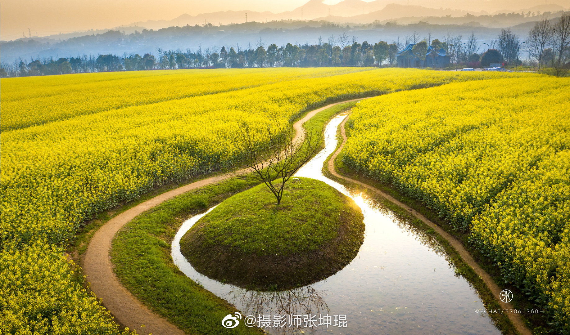 17年开始每年来广阳岛拍油菜花好像成了迎接春天的一种仪式_高清图集